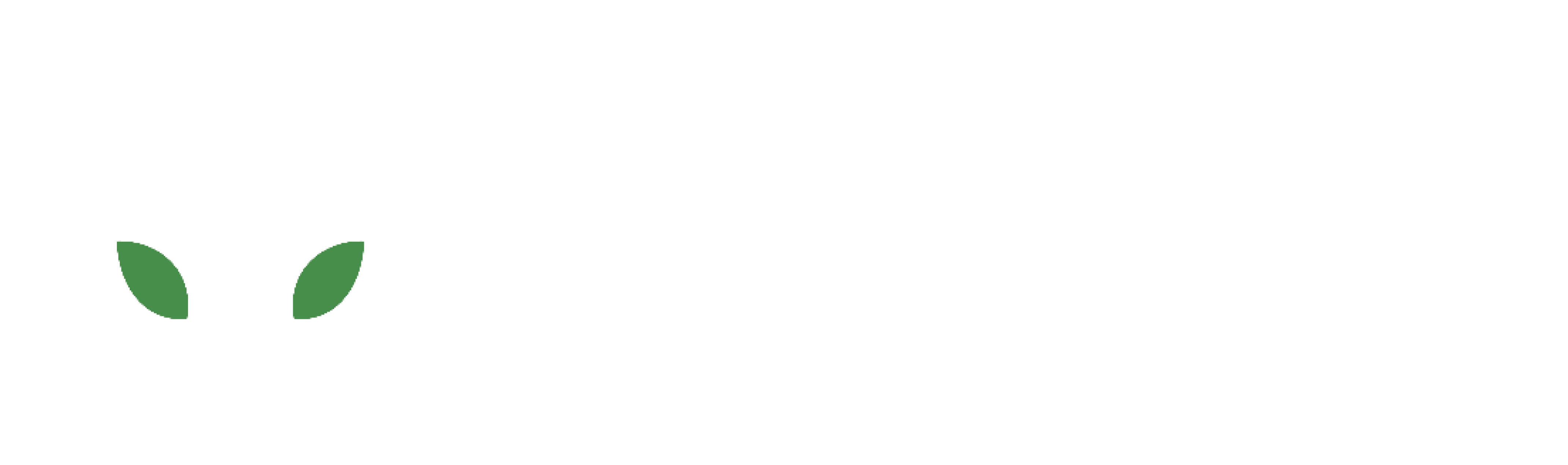 ÆLDIN